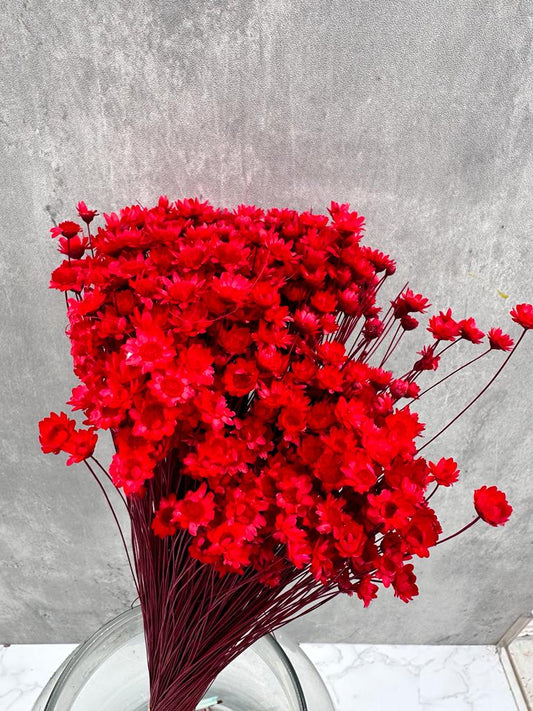 Glixia Roja