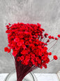 Glixia Roja