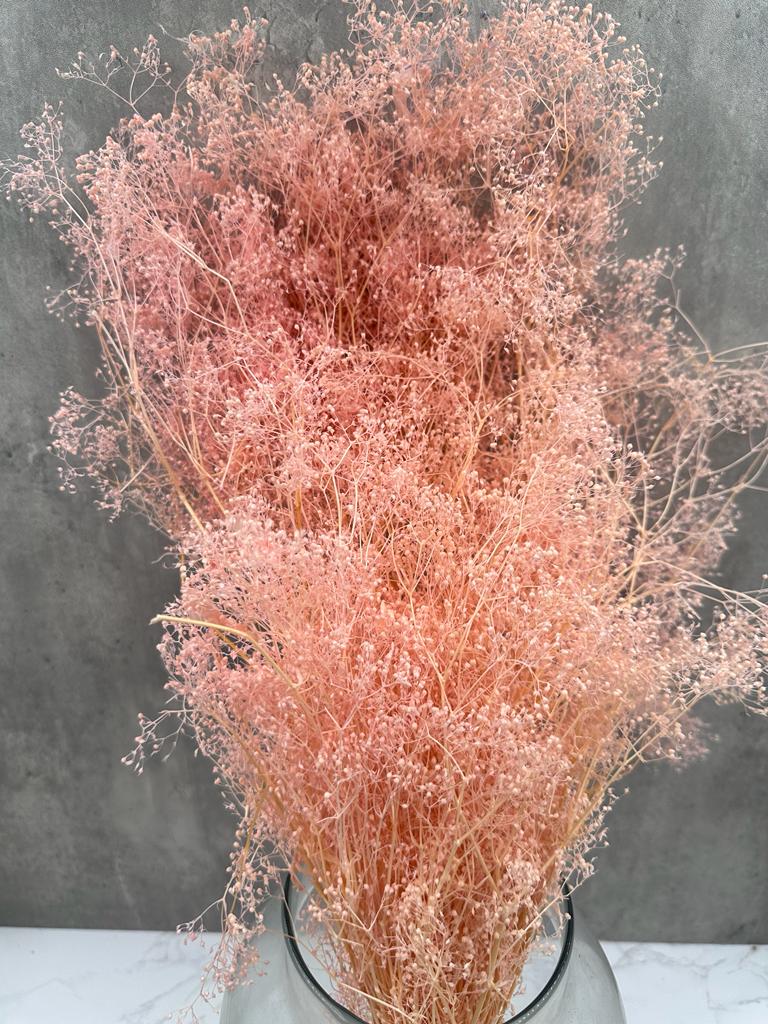 Gypsophila Mini Press Rosa Claro