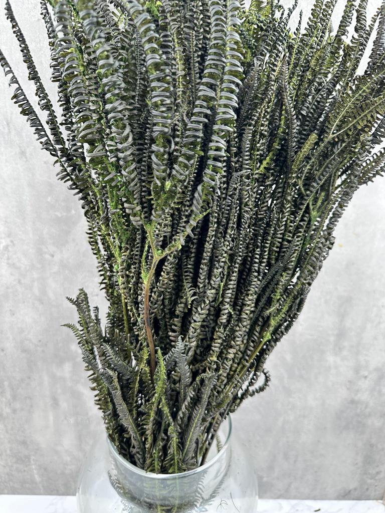 Helecho Press Natural
