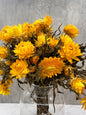 Helicrisium Seco Amarillo