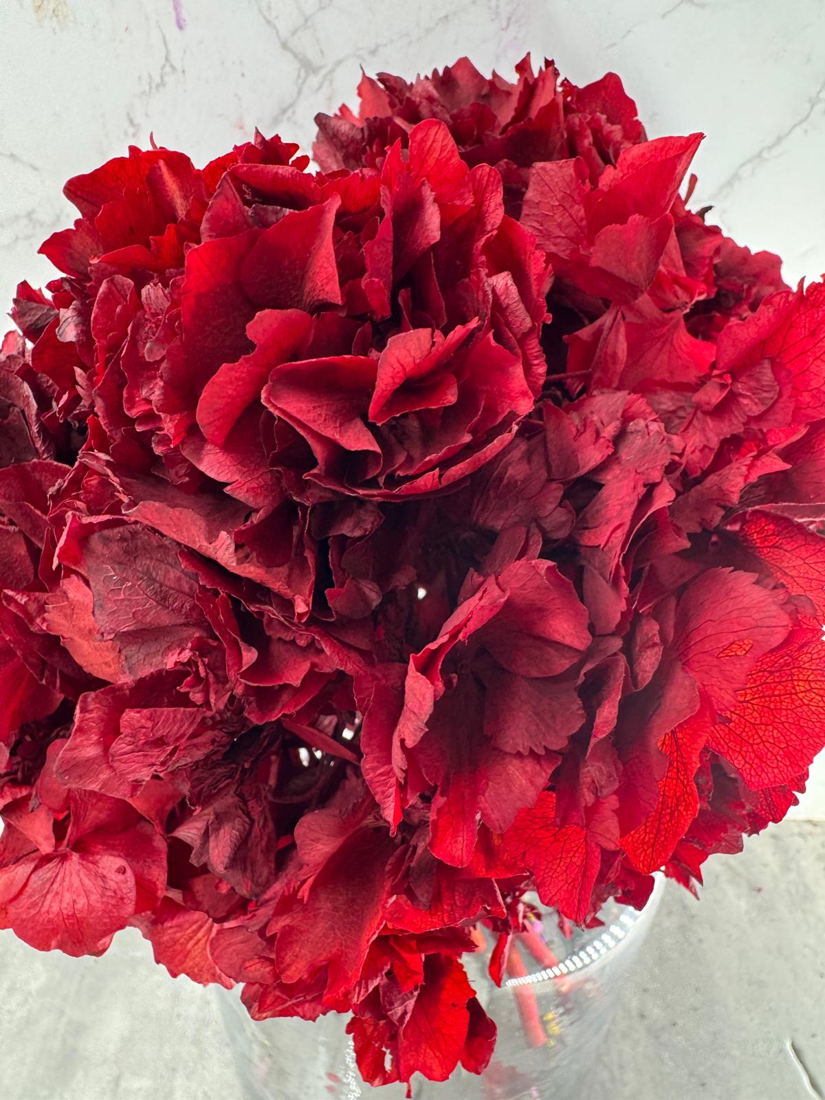 Hortensia Press Burdeos