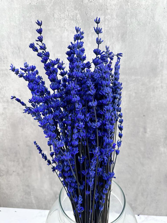Lavanda Press Azul