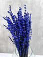 Lavanda Press Azul
