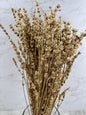 Lavanda Press Oro