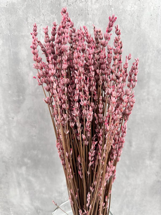 Lavanda Press Rosa