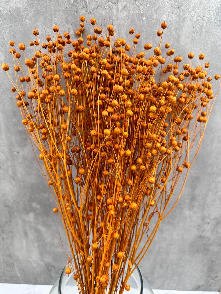 Lino Naranja