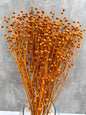 Lino Naranja