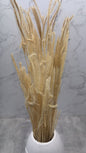 Ouro Press Crema