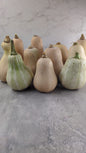 Pack 10 Calabazas Decorativas