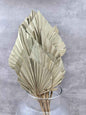 Palm Spear Natural