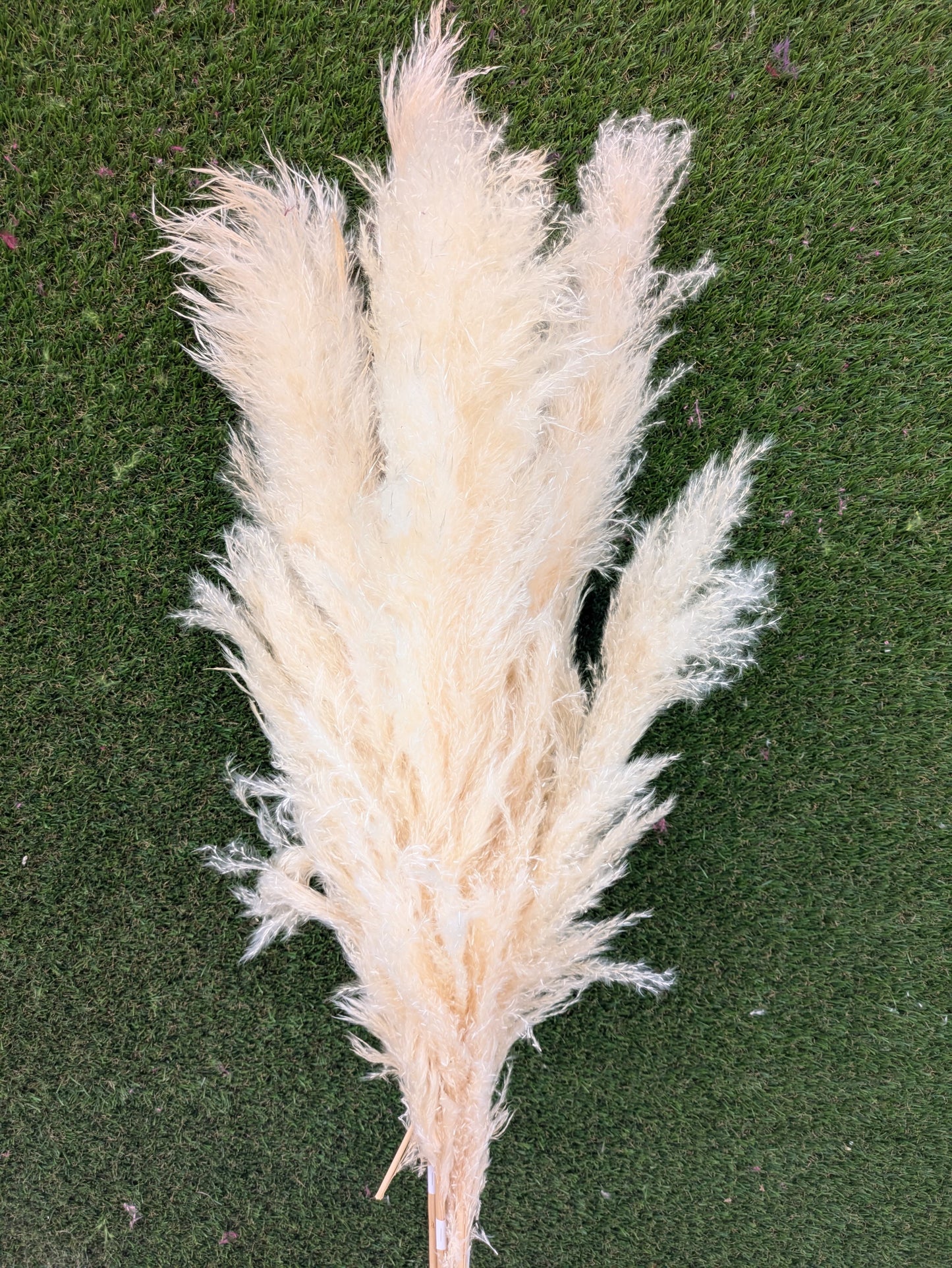Pluma Extra 120cm Blanco