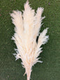 Pluma Extra 120cm Blanco