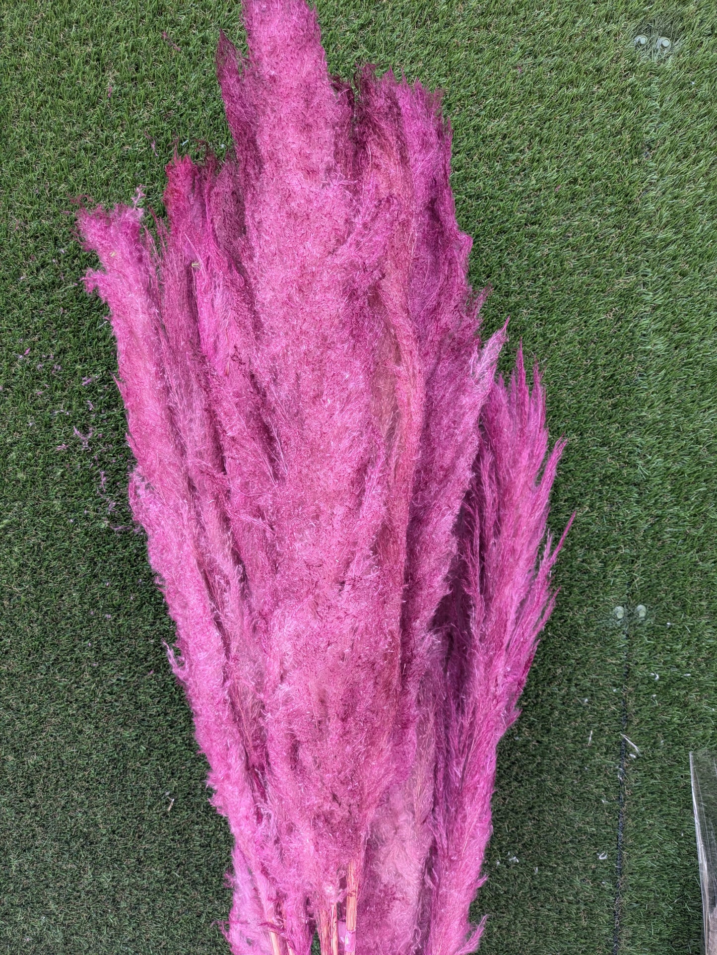 Pluma Extra 120cm Fucsia