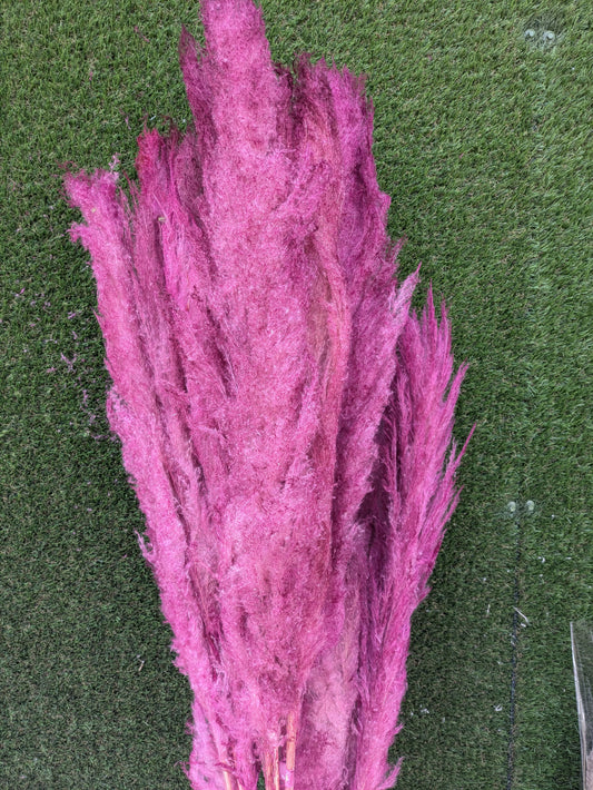 Pluma Extra 120cm Fucsia