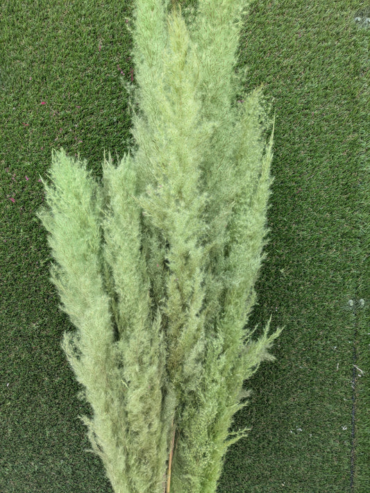 Pluma Extra 120cm Verde
