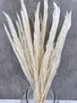 Pluma Decorativa Mini Blanca