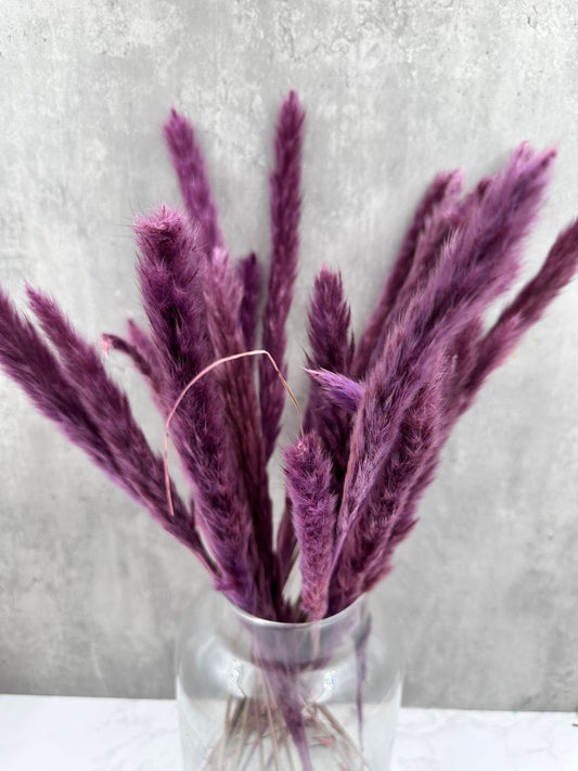 Pluma Decorativa Mini Morada