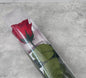 Rosas con tallo Kiara Roja 55cm