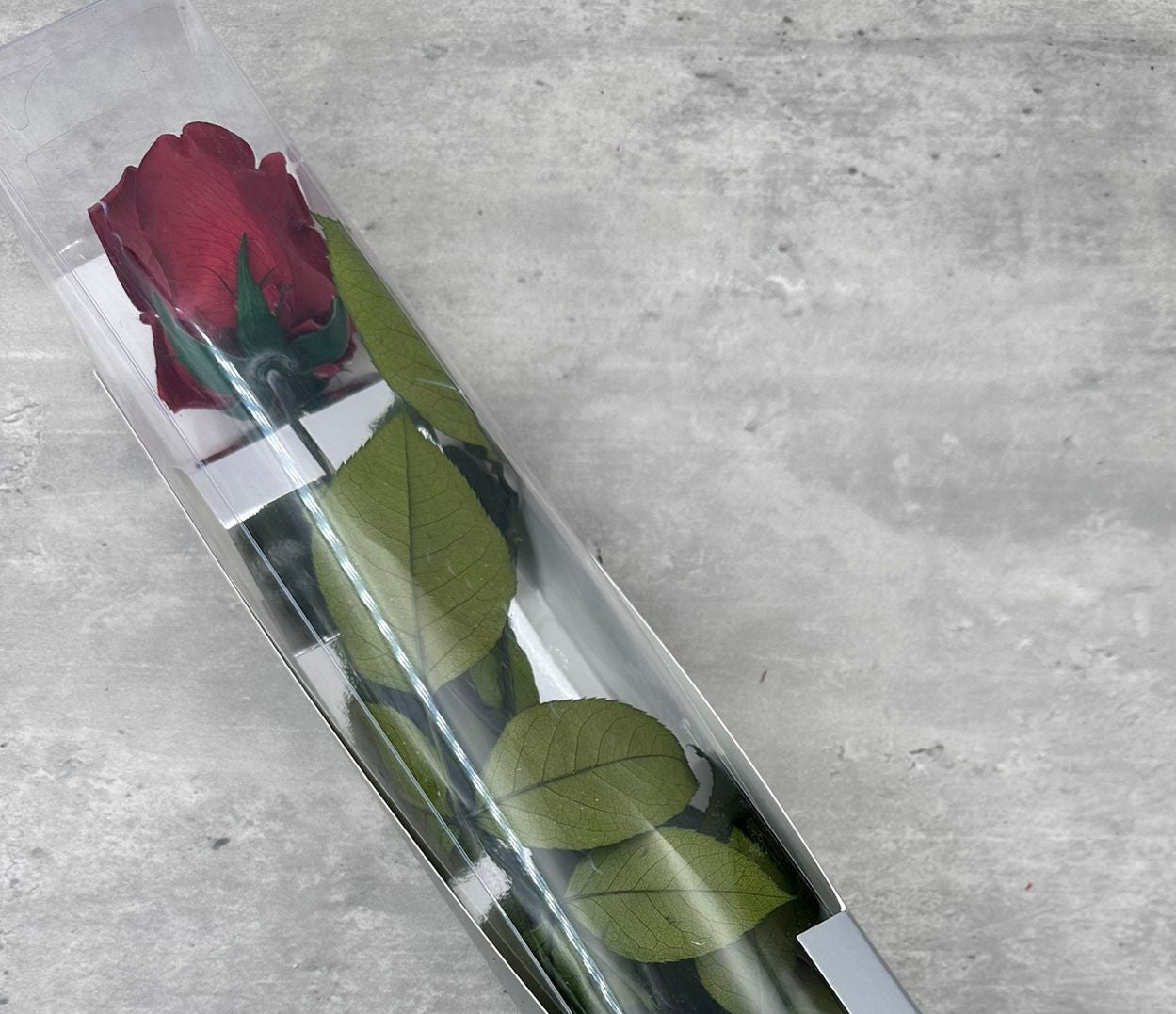 Rosas con tallo Kiara Sangre 55cm