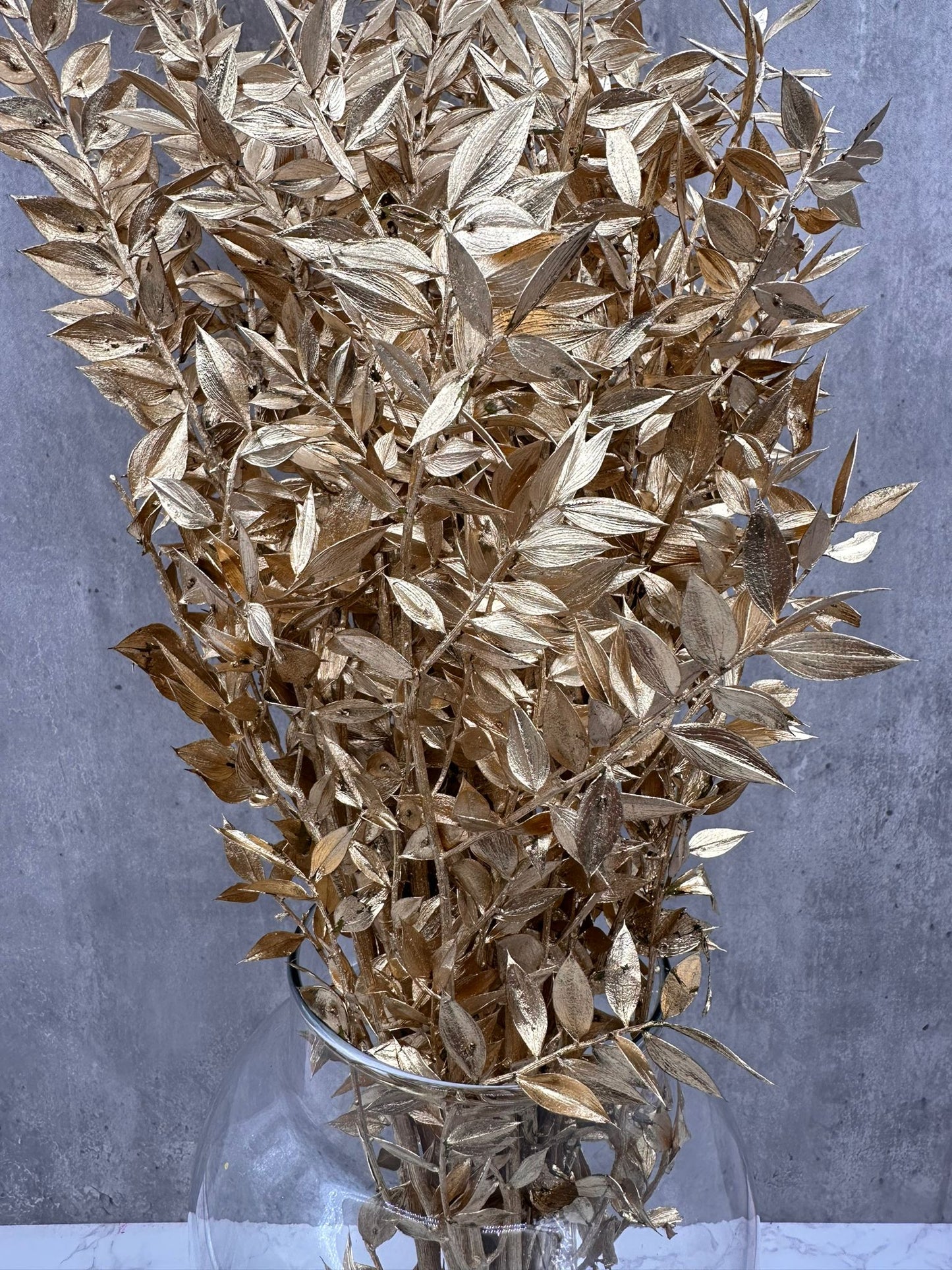 Ruscus Press Oro