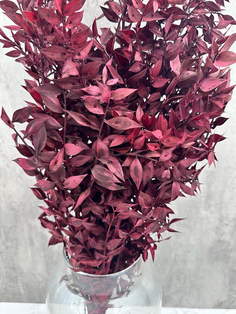 Ruscus Press Granate