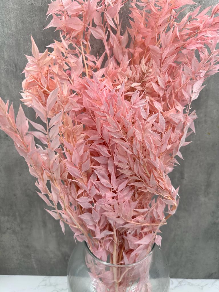 Ruscus Press Rosa