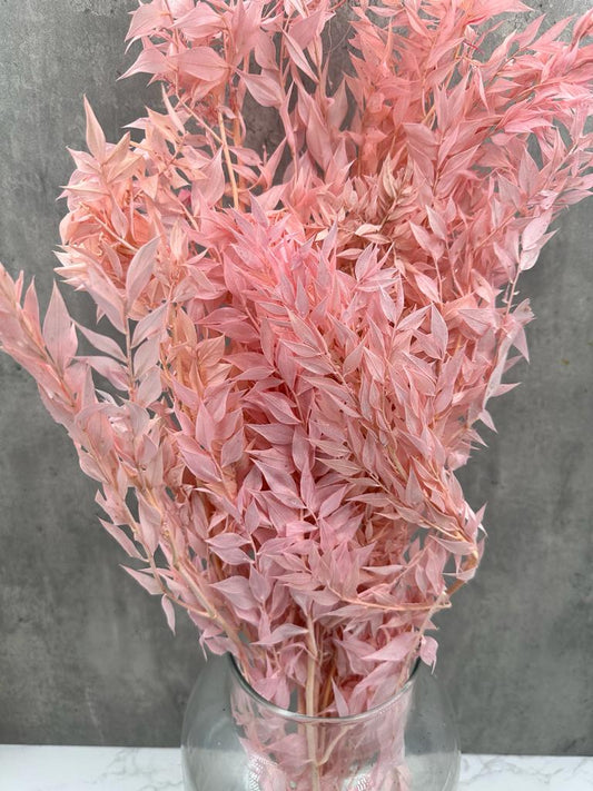 Ruscus Press Rosa