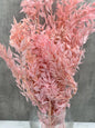 Ruscus Press Rosa