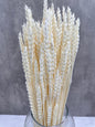 Trigo Flo Blanco