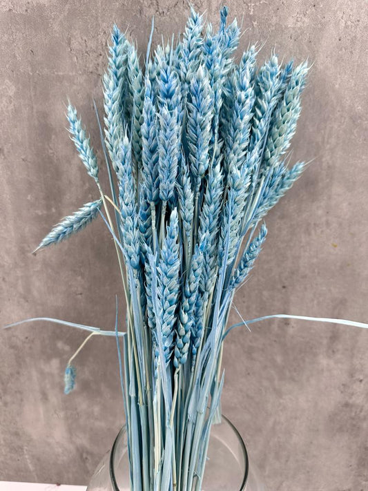 Trigo Flo Celeste