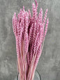Trigo Flo Lila