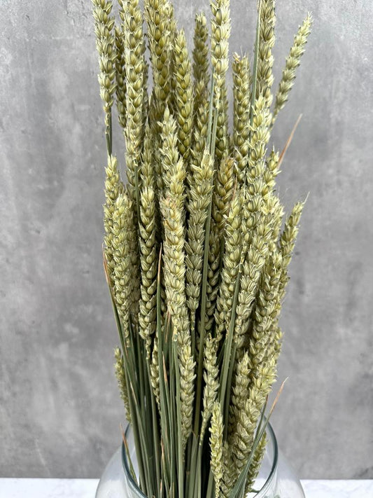 Trigo Flo Natural